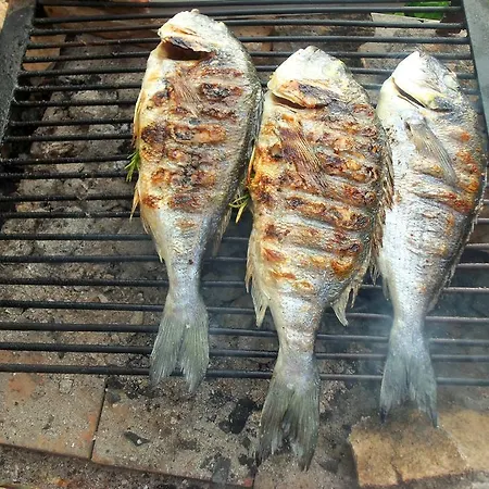 Sea Of Eden Дубровник