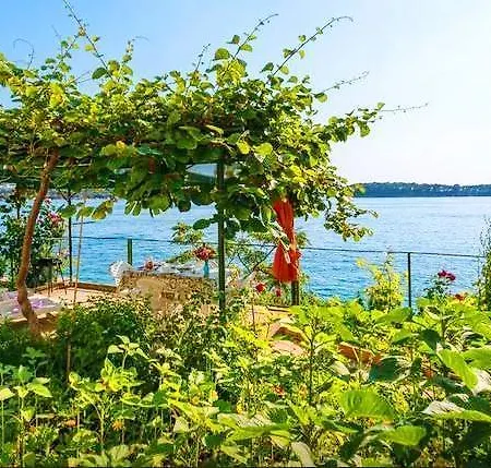 Sea Of Eden Дубровник