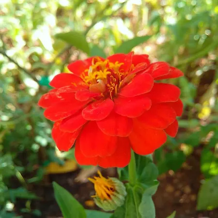 Апартаменты Sea Of Eden *