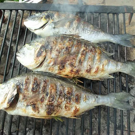 Апартаменты Sea Of Eden Дубровник