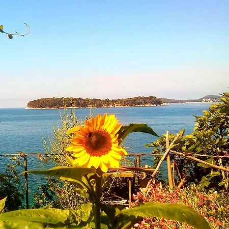 Апартаменты Sea Of Eden