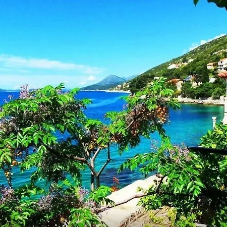 Апартаменты Sea Of Eden *