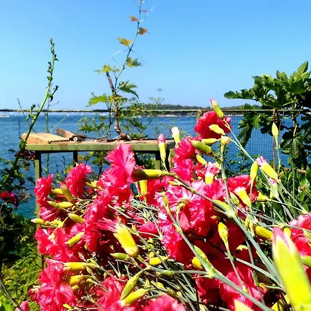 Sea Of Eden Дубровник