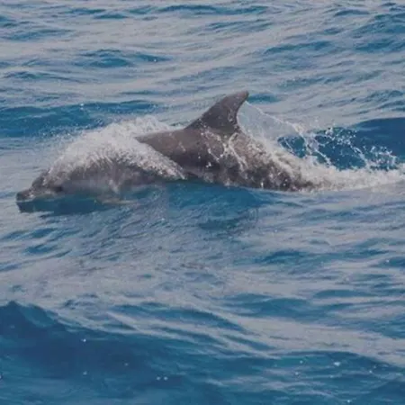 Sea Of Eden Апартаменты