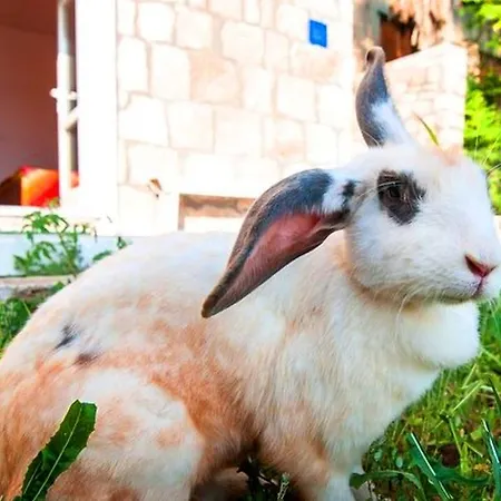 Апартаменты Sea Of Eden Дубровник