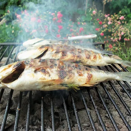 公寓 伊甸之海公寓