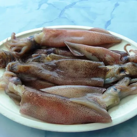 公寓 伊甸之海公寓 杜布罗夫尼克