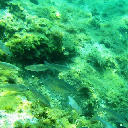 伊甸之海公寓 公寓