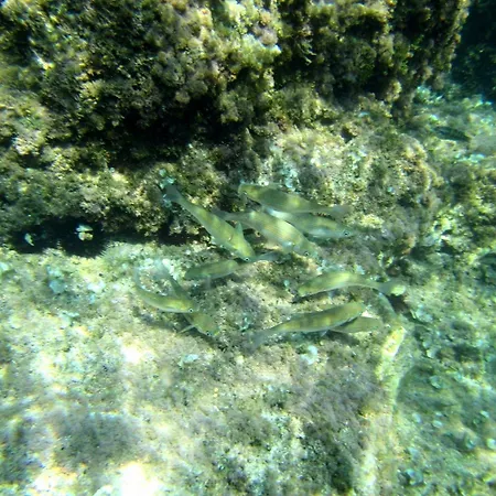 公寓 伊甸之海公寓