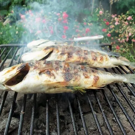 公寓 伊甸之海公寓