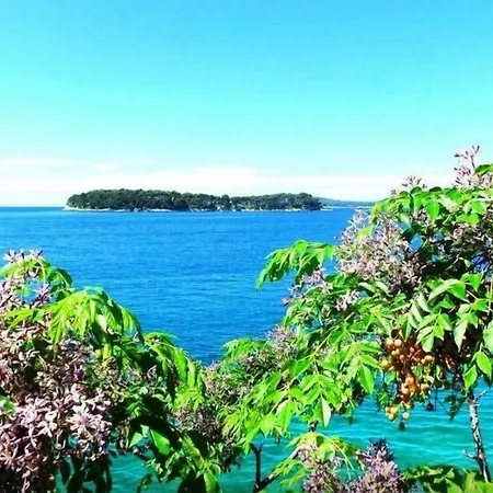 Sea Of Eden