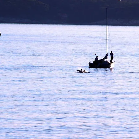 伊甸之海公寓 公寓 *