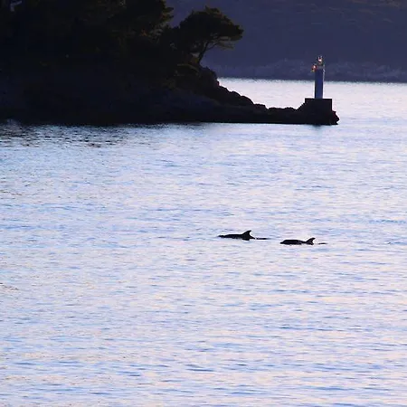 Διαμέρισμα Sea Of Eden