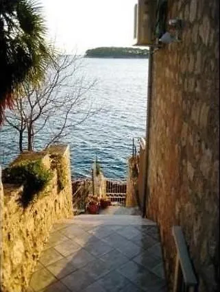 Sea Of Eden *