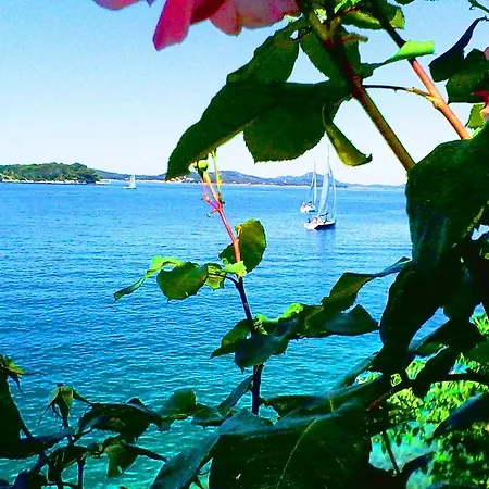 公寓 伊甸之海公寓 *