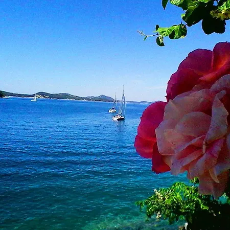 伊甸之海公寓 公寓