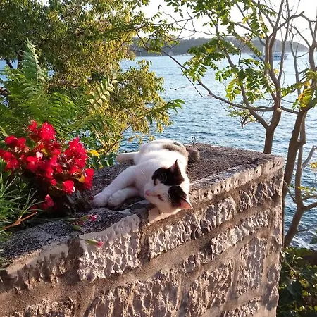 Sea Of Eden Lägenhet Dubrovnik