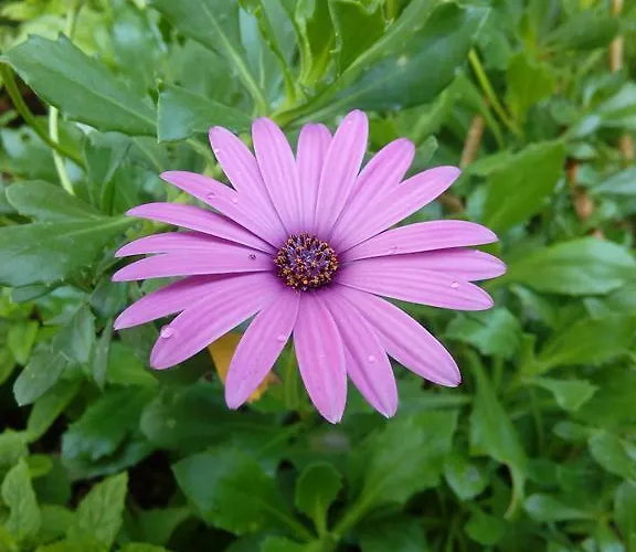 Sea Of Eden Dubrovnik