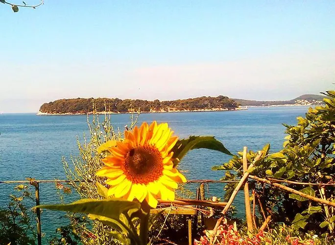 Lägenhet Sea Of Eden