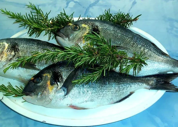 Sea Of Eden Lägenhet Dubrovnik