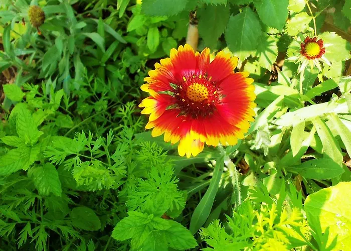 Sea Of Eden Lägenhet *