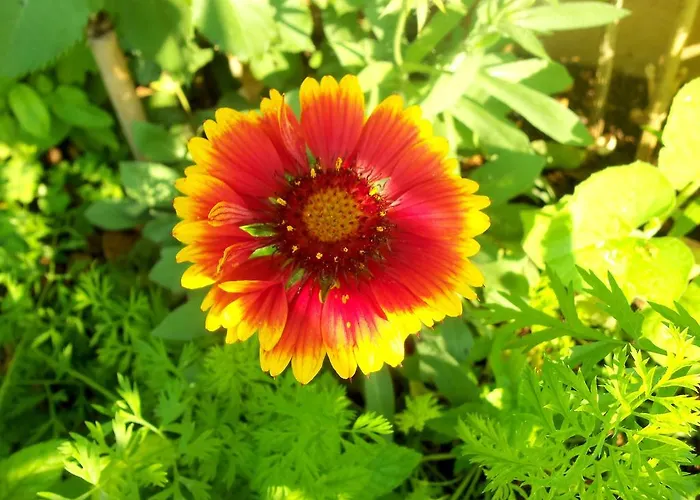 Lägenhet Sea Of Eden *