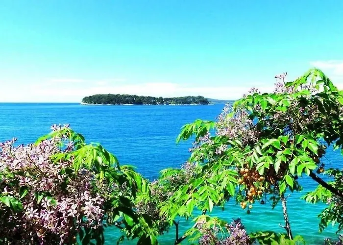 Sea Of Eden