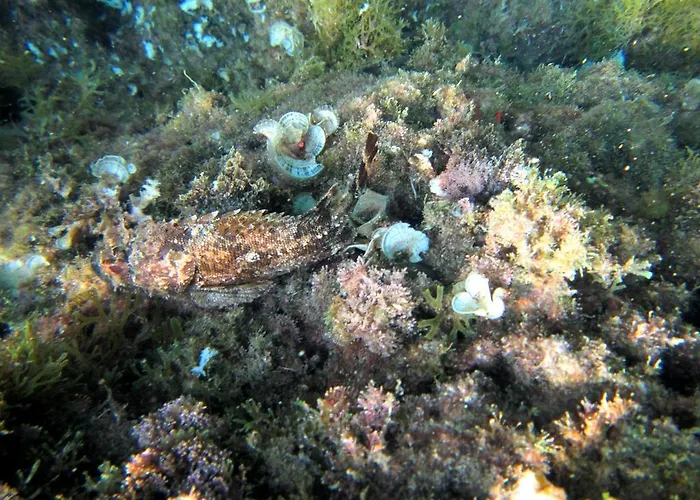 Sea Of Eden Dubrovnik