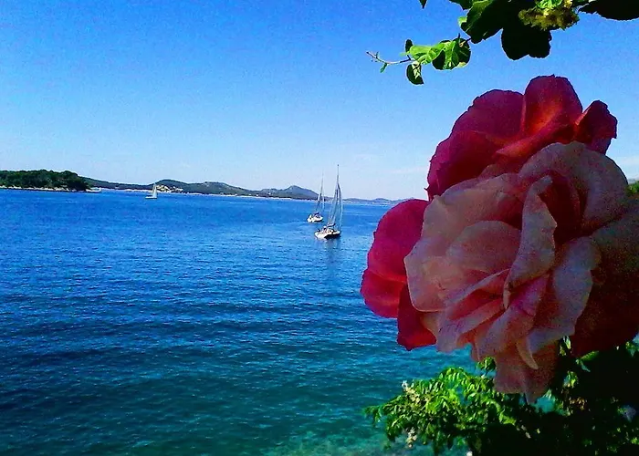 Sea Of Eden Lägenhet