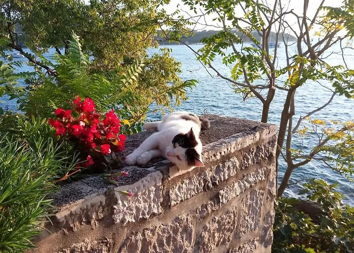Sea Of Eden Appartement Dubrovnik