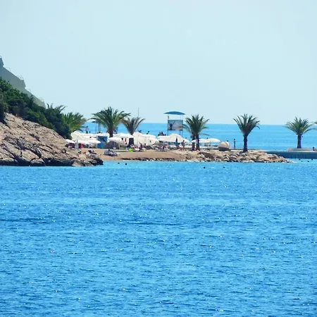 Sea Of Eden